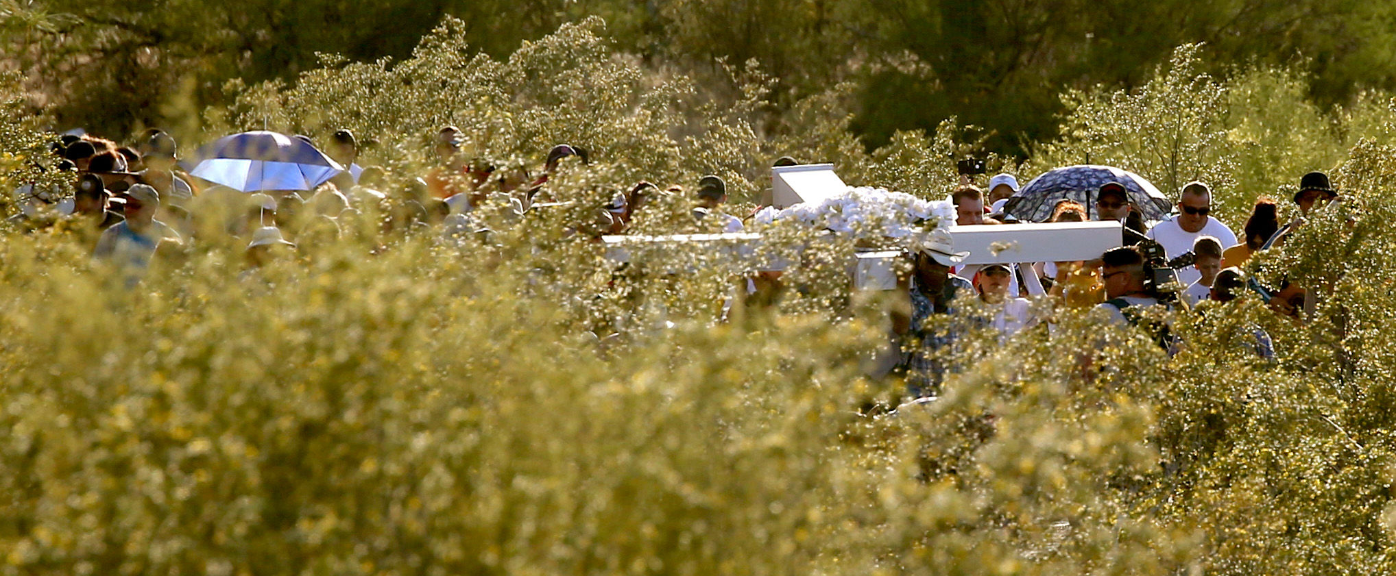 Cross Procession